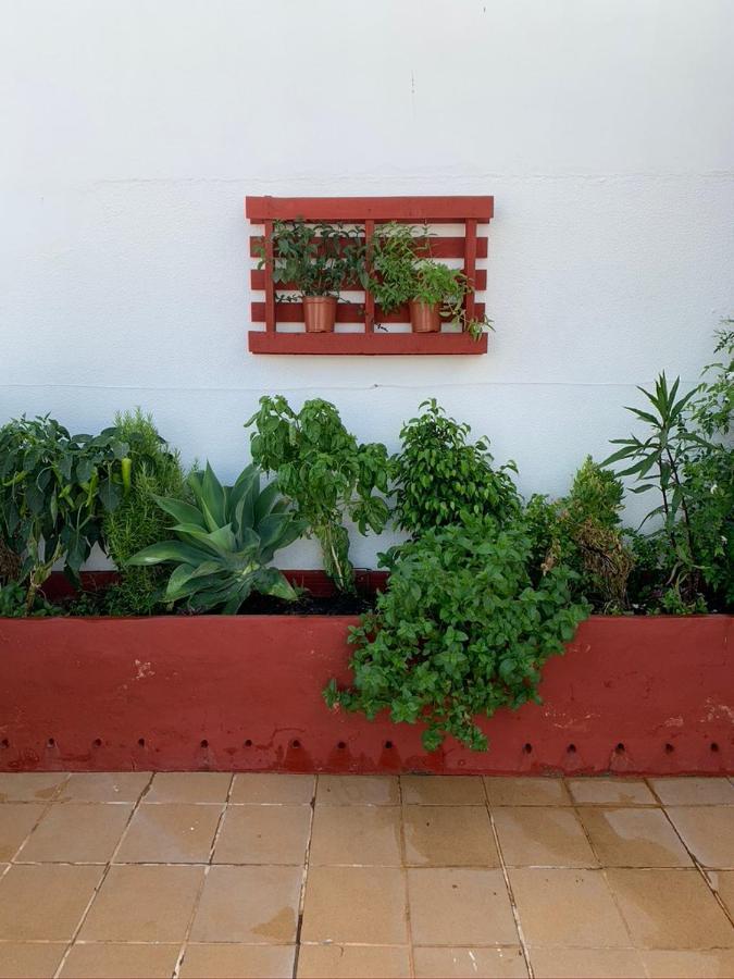 Atico La Ilusion Con Parking Apartment Sanlucar de Barrameda Bagian luar foto
